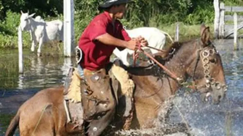 La conquête du Brésil