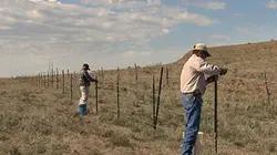 Visuel de La corde du diable