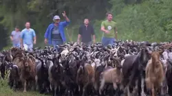La Corse, beauté sauvage  Des vallées et des hommes