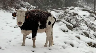 Des vallées et des hommes