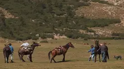 La Corse, beauté sauvage