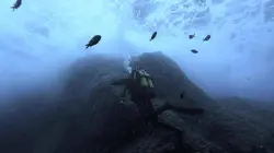 La Corse, beauté sauvage