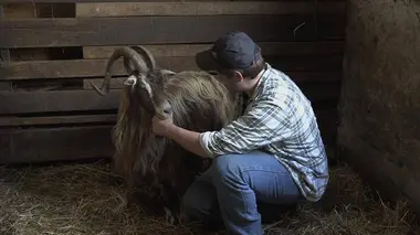 Les quatre saisons de la Corse