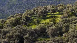 La Corse, beauté sauvage