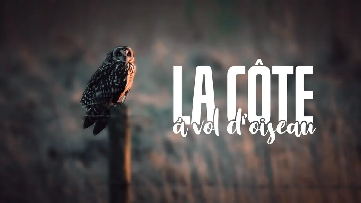 La côte à vol d'oiseau