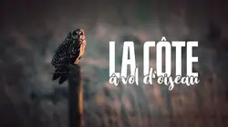 La côte à vol d'oiseau