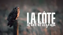 La côte à vol d'oiseau