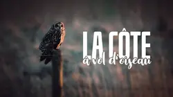 La côte à vol d'oiseau