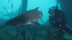 La côte Est des Etats-Unis