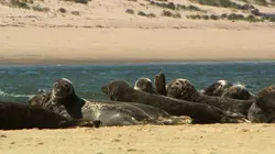 La côte Est des Etats-Unis