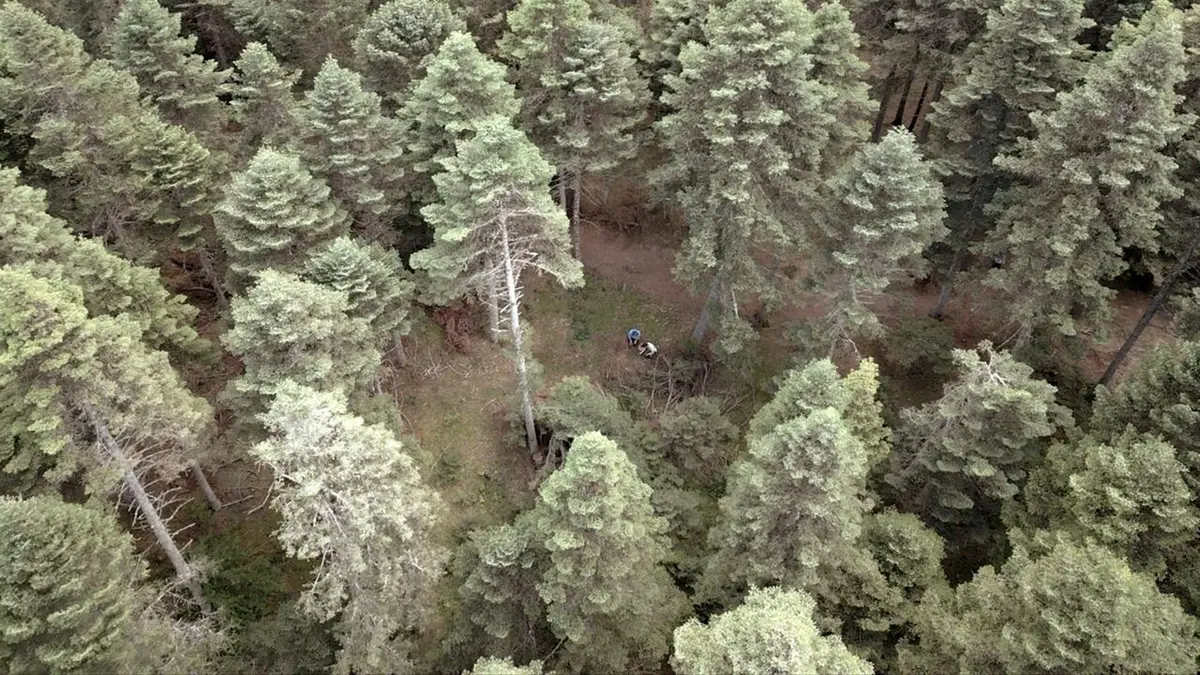 La côte turque de la mer Noire L'Ouest