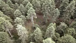 La côte turque de la mer Noire