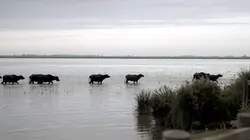 La côte turque de la mer Noire