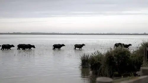 La côte turque de la mer Noire Le Nord