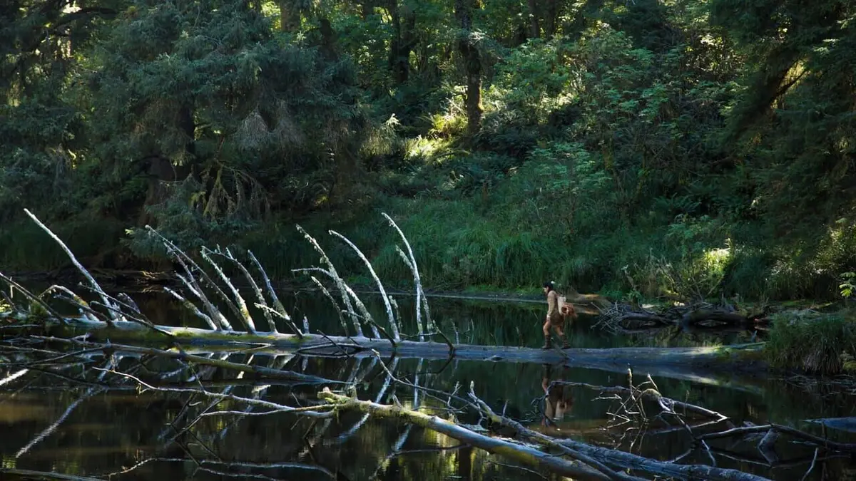 La course de l'évolution Les fondateurs