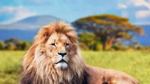 La course pour la vie E07 A tire d'ailes