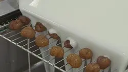 La crème des marrons