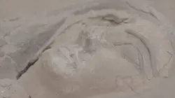 Sur Toute L'Histoire à 22h20 : La découverte des derniers tombeaux d'Egypte