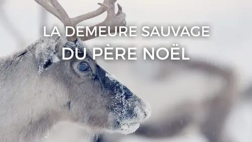 La demeure sauvage du Père Noël