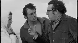 La demoiselle d'Avignon