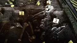 Visuel de La disparition de l'homme de Néandertal