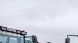 La doc et le véto S01E04 Les charognards