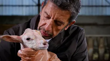 La doc et le véto S01E01 Pilote