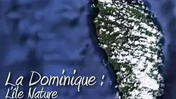 La Dominique, île nature