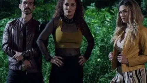 La Dona S02E28 Embestida