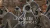 2018 • La dynastie des singes