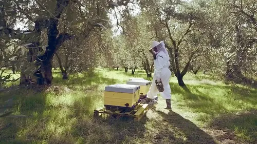 Casting La fabrique de l'ignorance