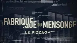 Visuel de La fabrique du mensonge