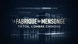La fabrique du mensonge TikTok, l'ombre chinoise en streaming