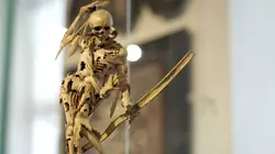 La fabuleuse histoire des musées