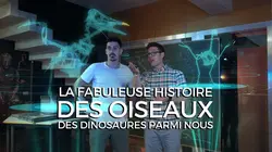Sur Ushuaïa TV à 20h50 : La fabuleuse histoire des oiseaux, des dinosaures parmi nous