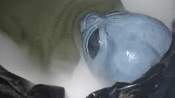 La face cachée de l'Histoire E05 Les secrets de Roswell