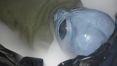 Les secrets de Roswell