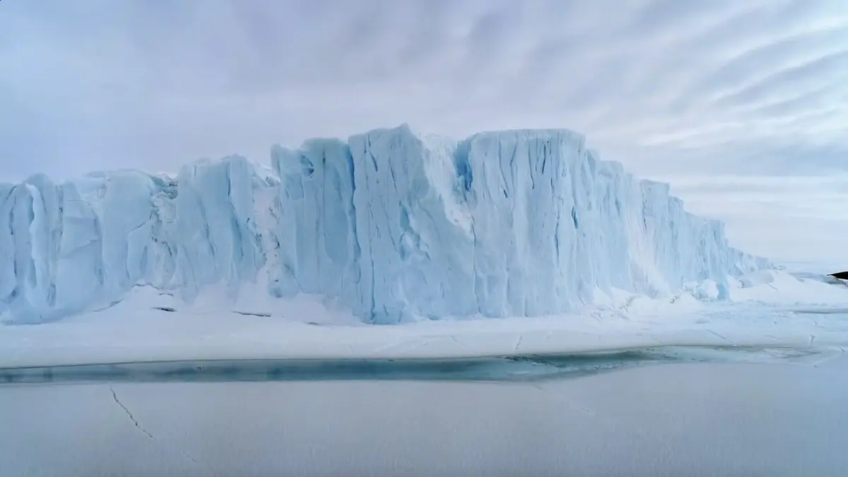 La face cachée des pôles Les pôles en danger