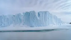 La face cachée des pôles Les pôles en danger