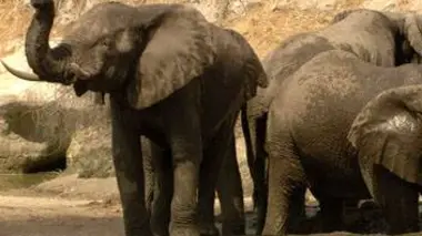 La face sauvage de la planète