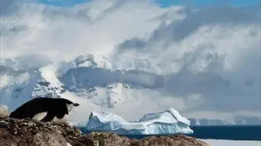 La face sauvage de la planète