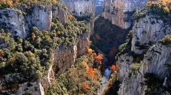 Visuel de La face sauvage des Pyrénées