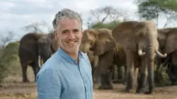 La famille éléphant et moi