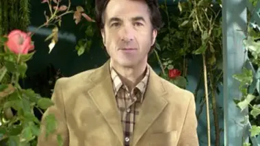 Il faut avoir de la volonté pour réussir dans la vie