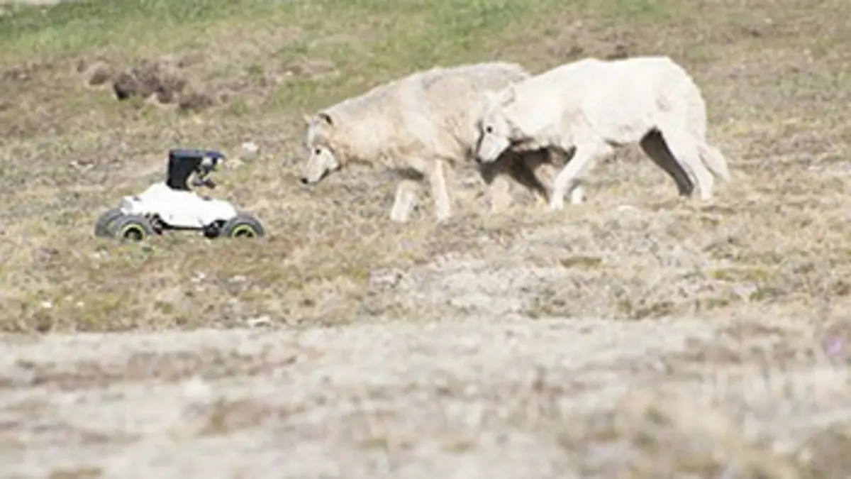 La famille loup et moi