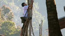 Visuel de La fée électricité