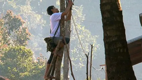 La fée électricité