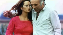 Visuel de La femme en bleu