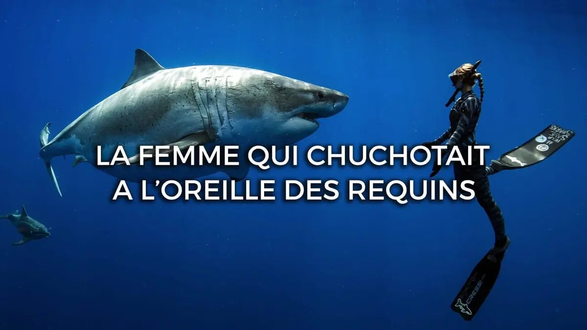 La femme qui chuchotait à l'oreille des requins