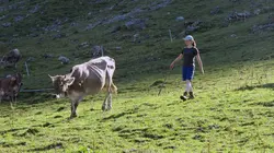 La fenaison en montagne, une tradition suisse